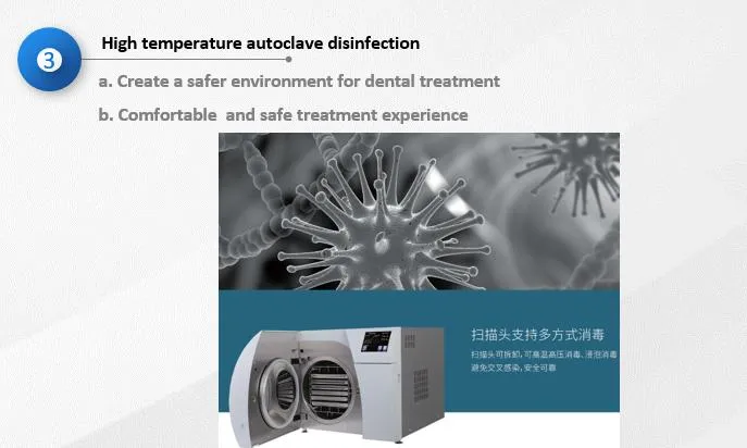 Digital Dental Model