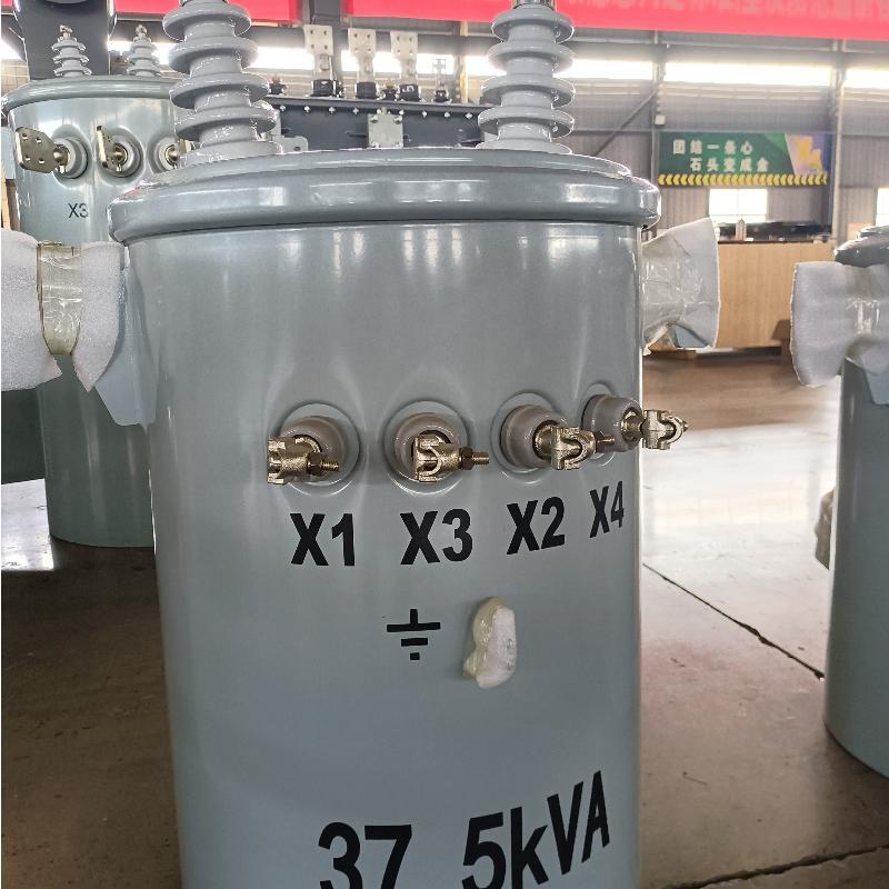 33kV Single-Phase Copper Overhead Pole Transformer for Rural Electrification Electric Single-Phase Pole Transformer