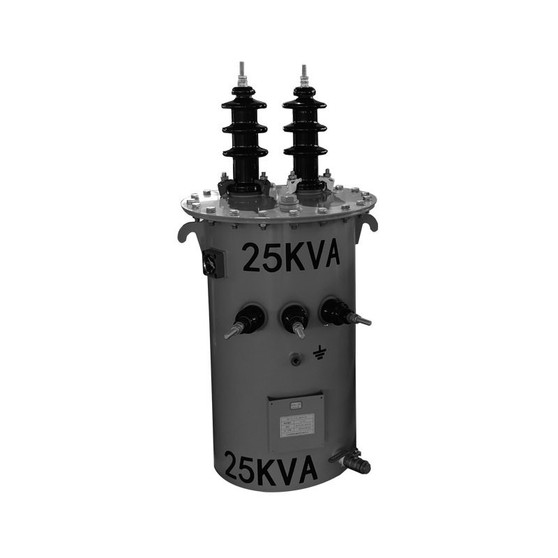 Custom Single Phase Aluminum Winding Oil Immersed Power Transformer 25kva Pole Mounted for Distribution