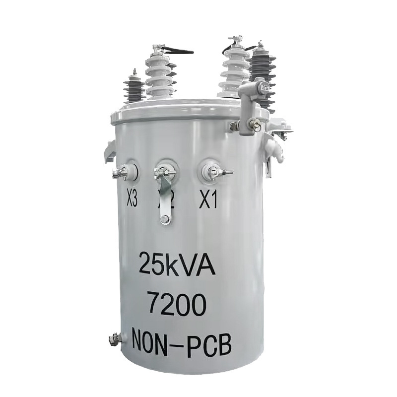 Custom Single Phase Aluminum Winding Oil Immersed Power Transformer 25kva Pole Mounted for Distribution