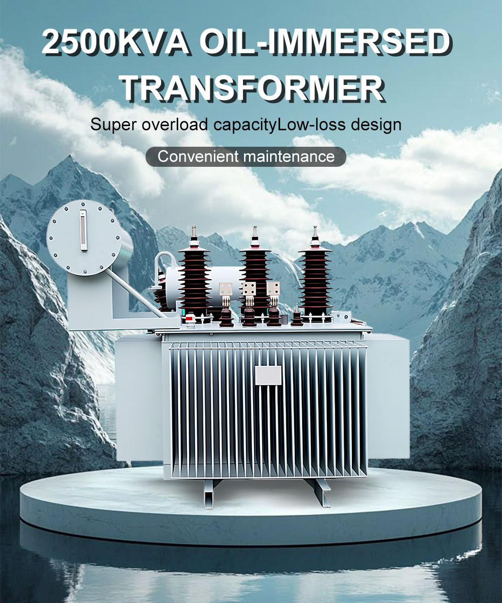 Oil Immersed Transformer