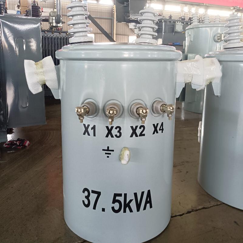33kV Single-Phase Copper Overhead Pole Transformer for Rural Electrification Electric Single-Phase Pole Transformer