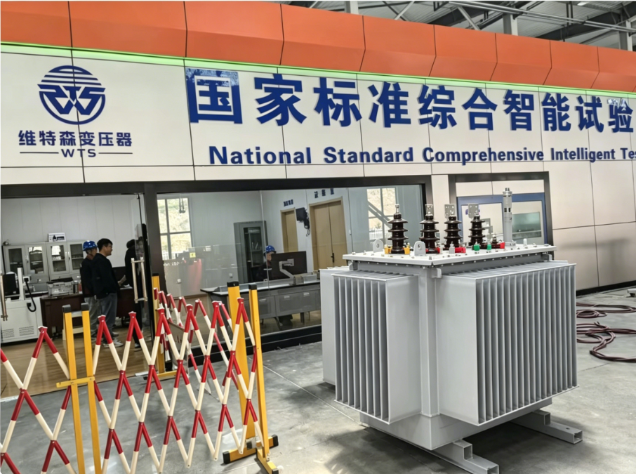 S20 Oil Immersed Distribution Transformer 315kVA 500kVA 800kVA 1000kVA 1250kVA Hermetically Sealed Low Loss for Factory Power