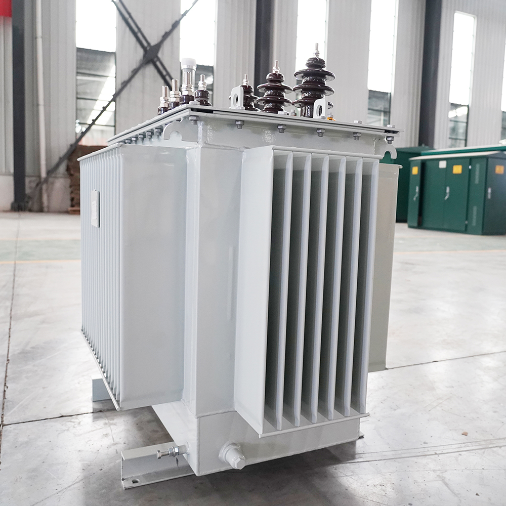 Customized ZBPW S Series Three-Phase 50/60Hz Fully Sealed Oil Immersed Distribution System Power Transformers Input 10KV 6KV