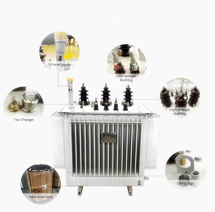 S11-M 10kV Oil Immersed Transformer, Hermetically Sealed Outdoor Power Transformer 100kva 250kva 500kva 1000kva