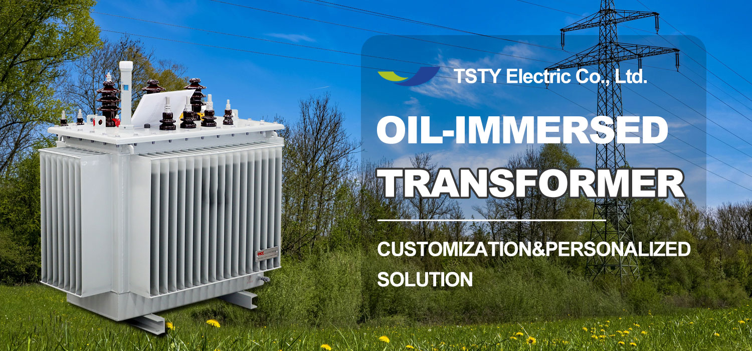 Oil Immersed Transformer