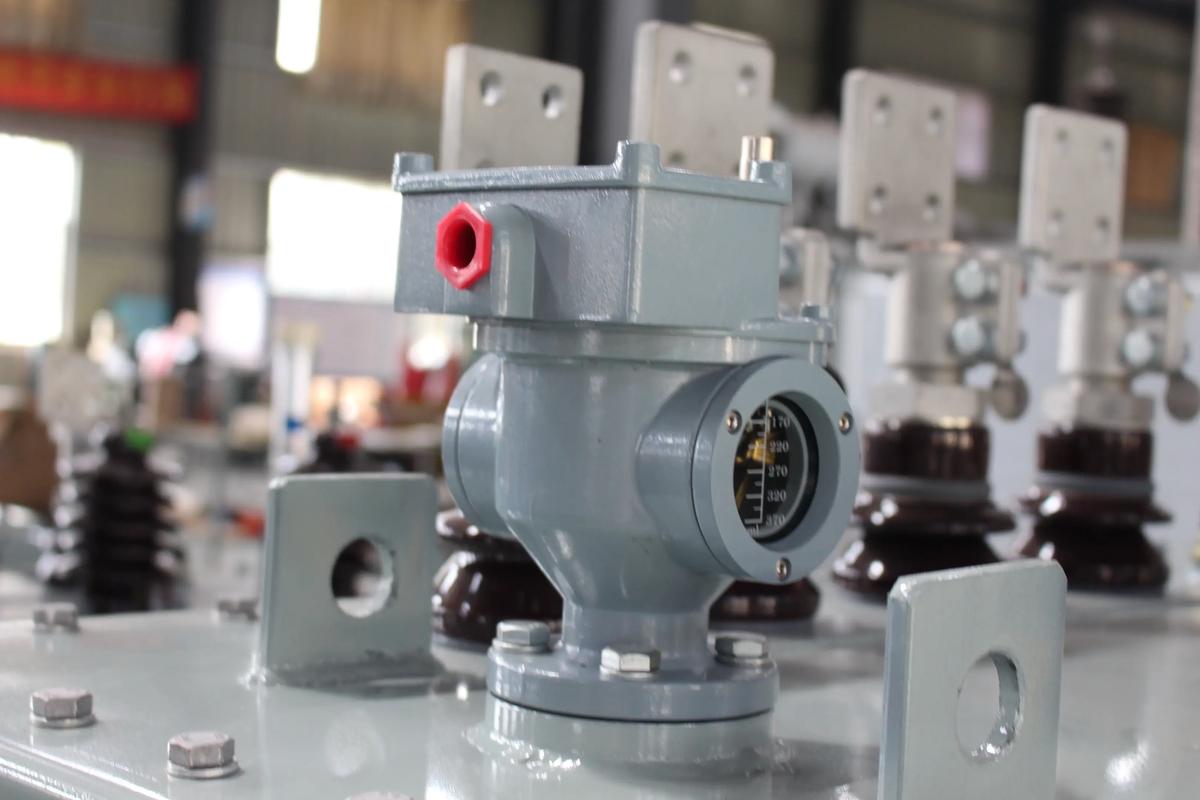 10kV 35kV Three Phase Oil Immersed Transformer Hermetically Sealed Distribution Power Transformer