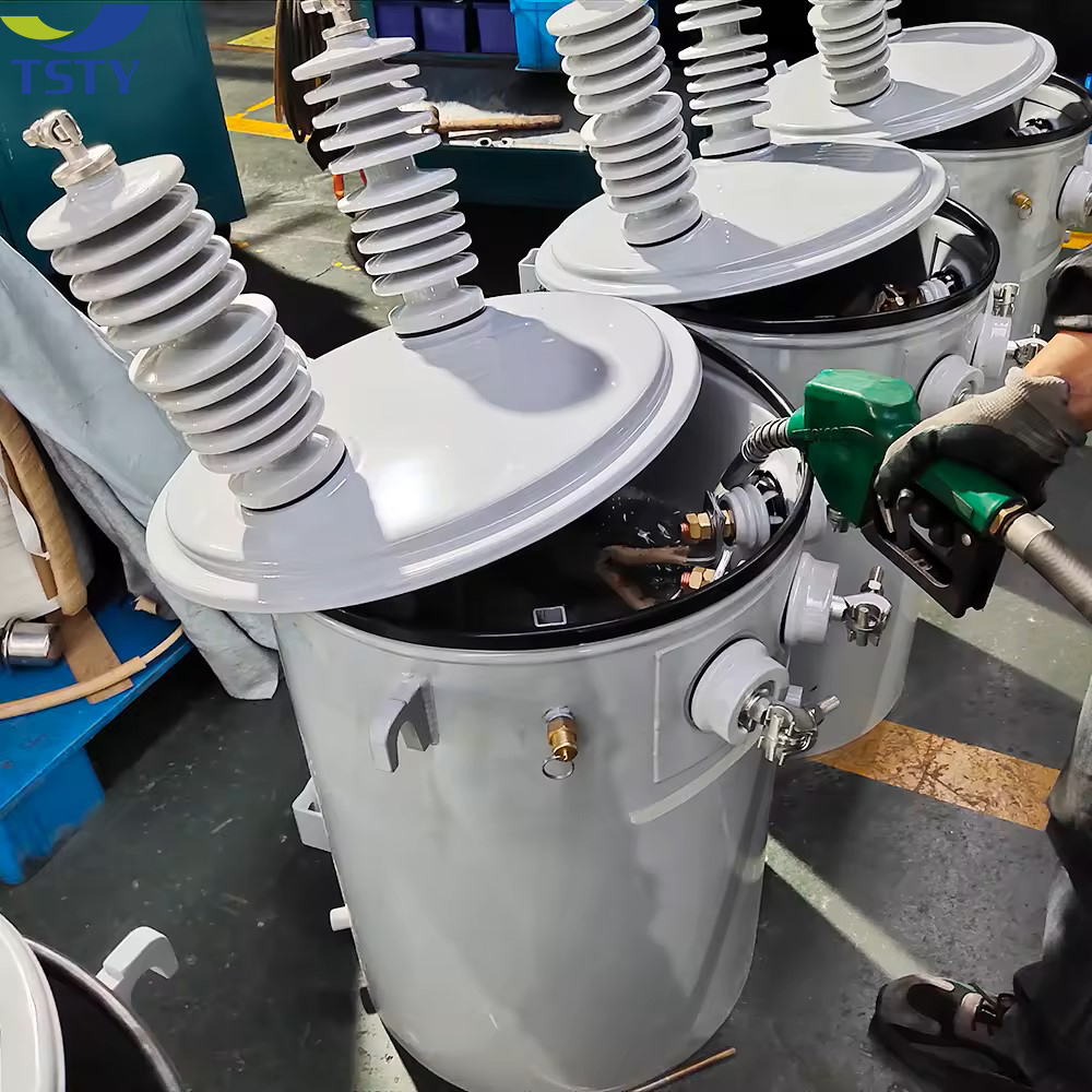 TSTY Best New Product of Single Phase Pole Mounted Transformer Manufacture Direct Sale