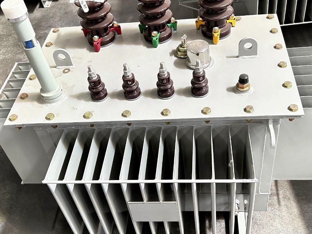 10kV 35kV Three Phase Oil Immersed Transformer Hermetically Sealed Distribution Power Transformer