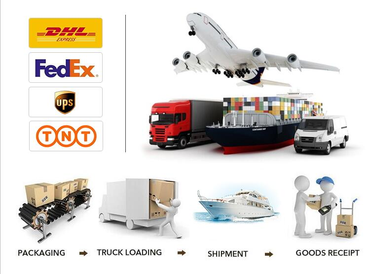 Export Standard Safety Packing and Logistics Transport Management
