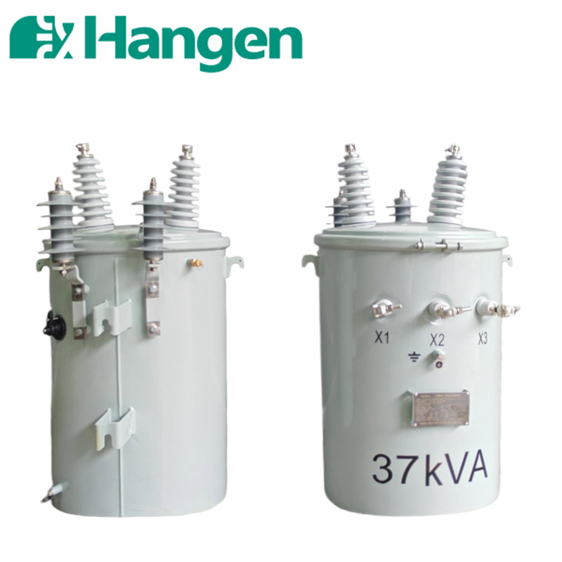 Hangen 37KVA MV&amp;HV Oil Immersed Distribution Transformer 120/240V Single Phase 10KV Input 380V 220V Output 60Hz Pole Mounted