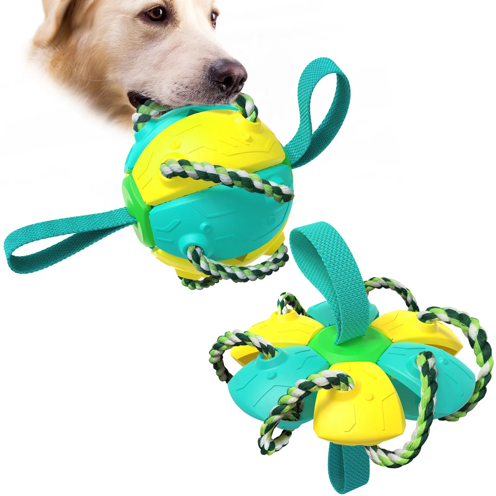 Pet Supplies Outdoor Frisbee Interactive Soccer Training Dog Toys