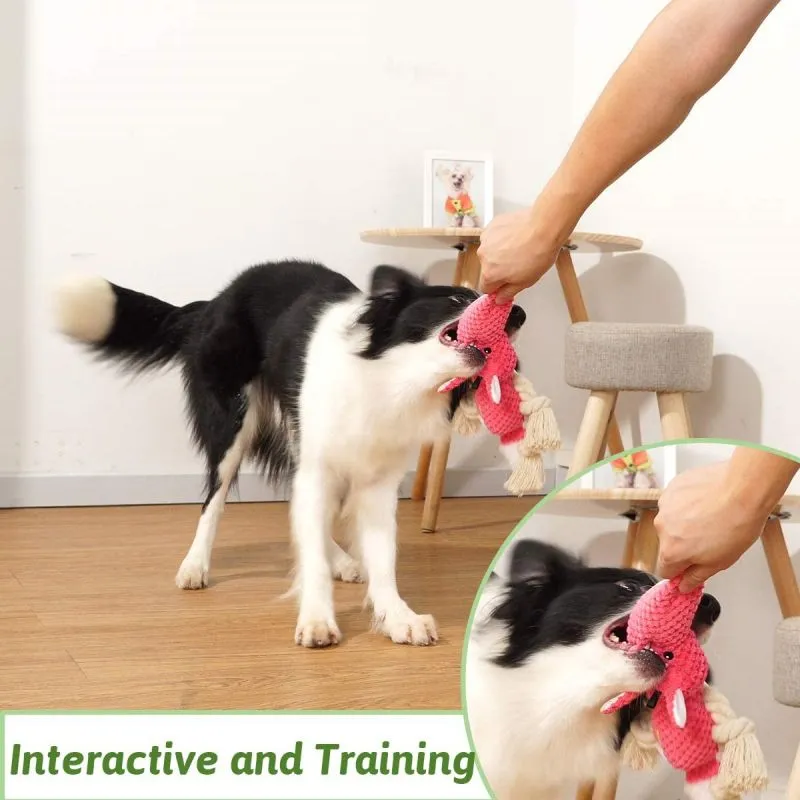 Natural Cotton Squeaky Dog Chew Toy Showcase 4