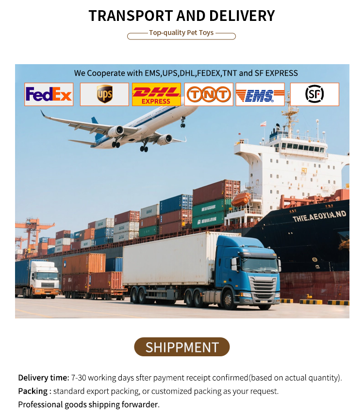 Transport and Delivery Info