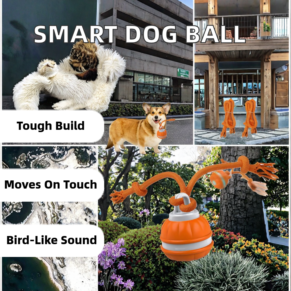 Luxury Interactive Ball Dog Toys-Intellectual Exercise for Dogs