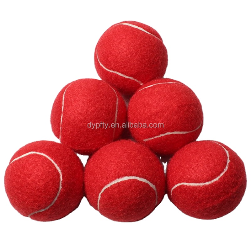Pet Training Tennis Ball Toy with Squeak Feature for Puppies and Active Dogs