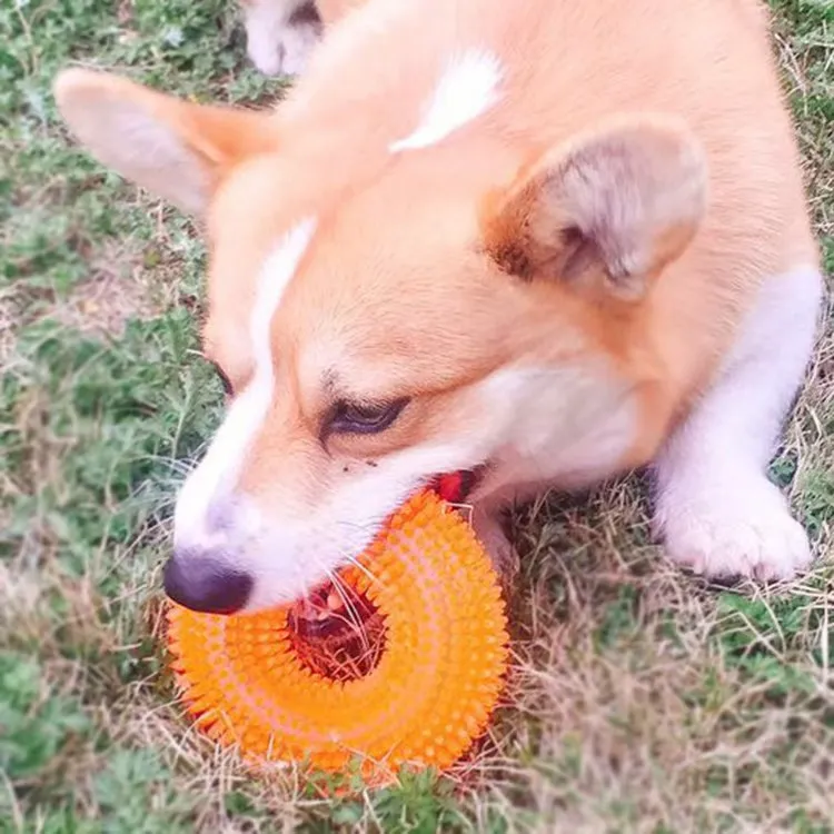 Long Lasting Interactive Treat Dispensing Fun Ball Puppy Pet Dog Gnawed Toys
