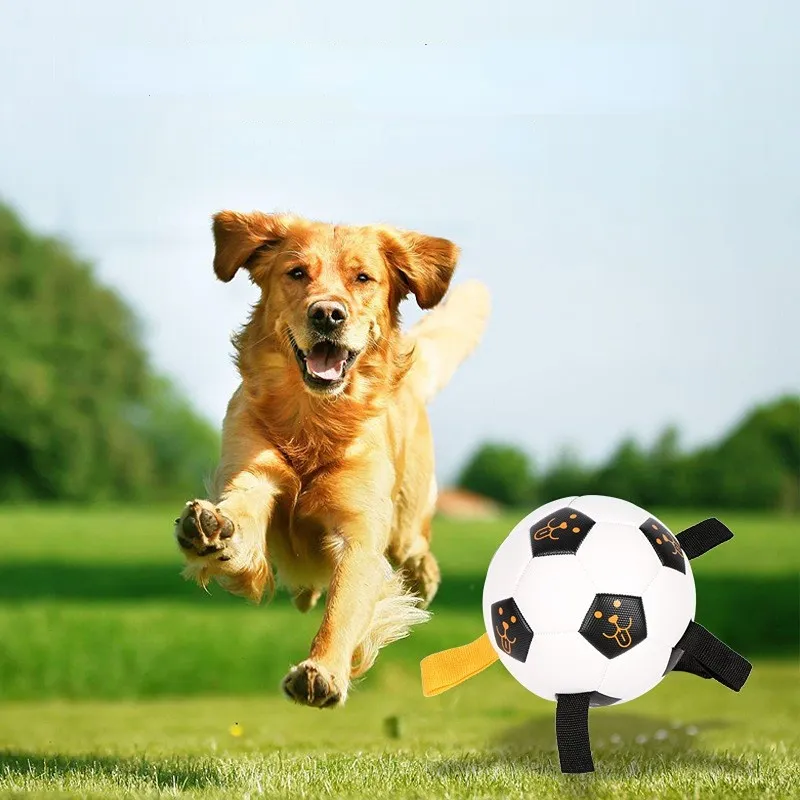 Dog Toy Ice Ring - Summer Heat Relief