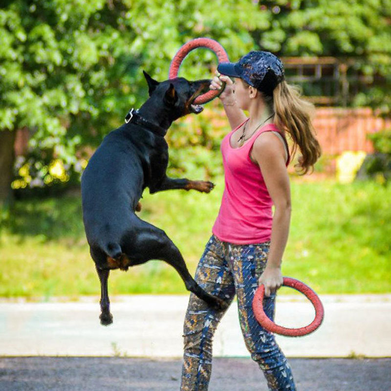 Dog Flying Disc Dog Training Toy