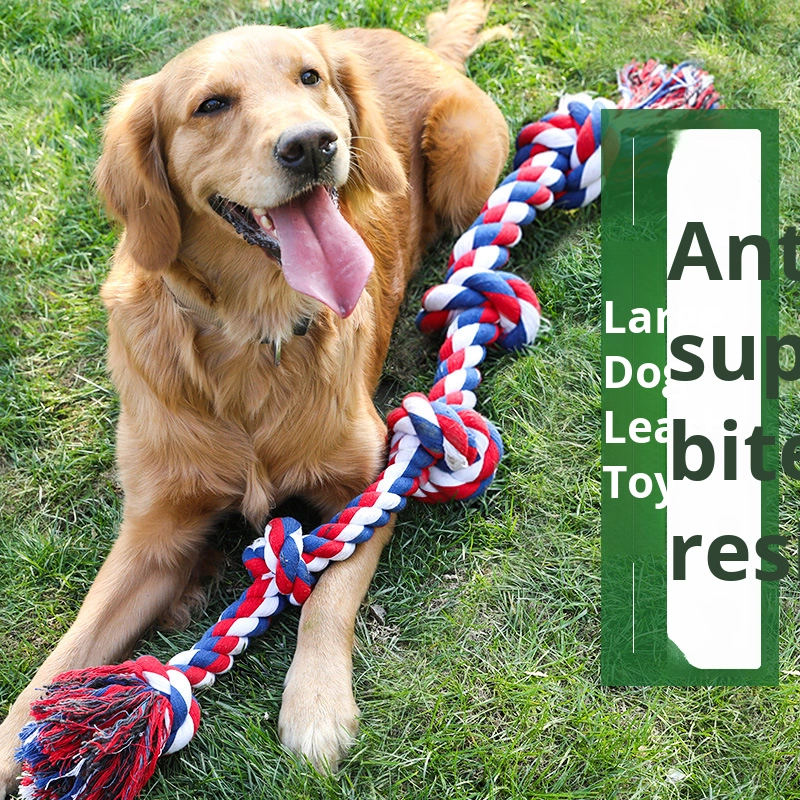 Hot Selling Eco-Friendly Cotton Dog Rope Toys 5 Knots Tug War Indestructible Aggressive Chewers Luxury Medium Large Dogs Modern