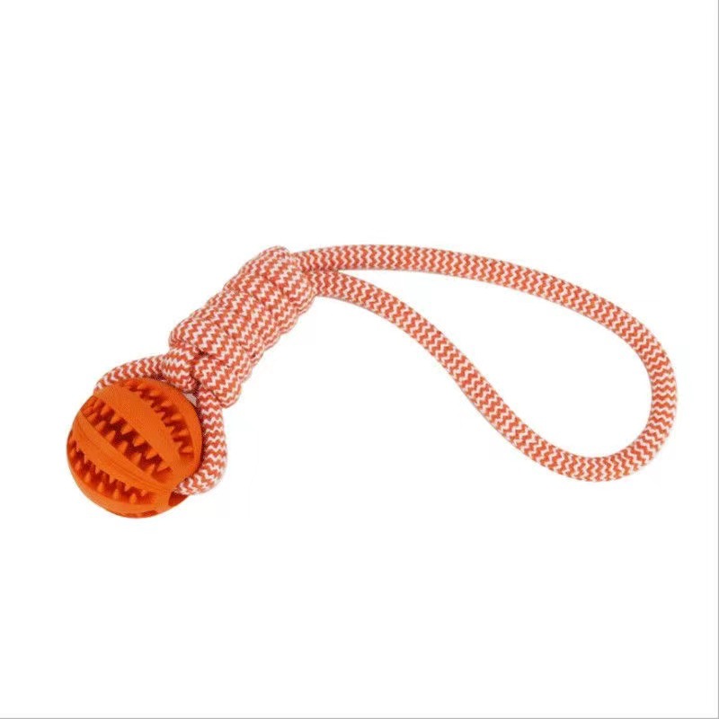 Funny Shape Pet Toy