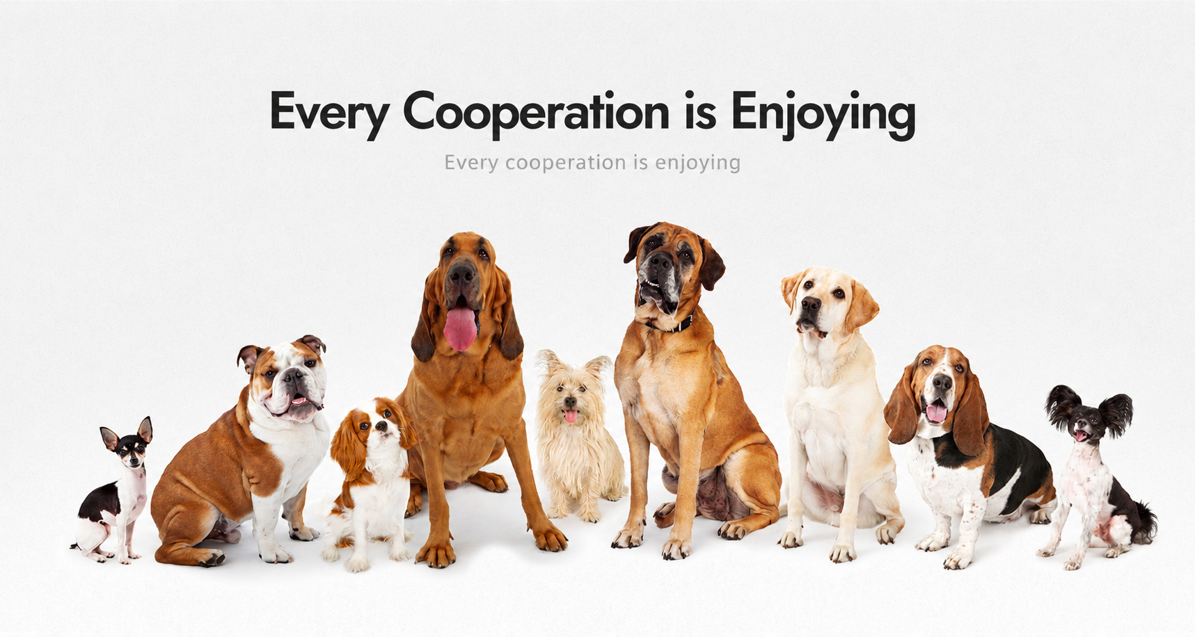 Eco-friendly Multi-Color Natural Rubber Dog Chew Toy safe pet chewing toy Bone-Shaped Grinding Style for Boredom Relief
