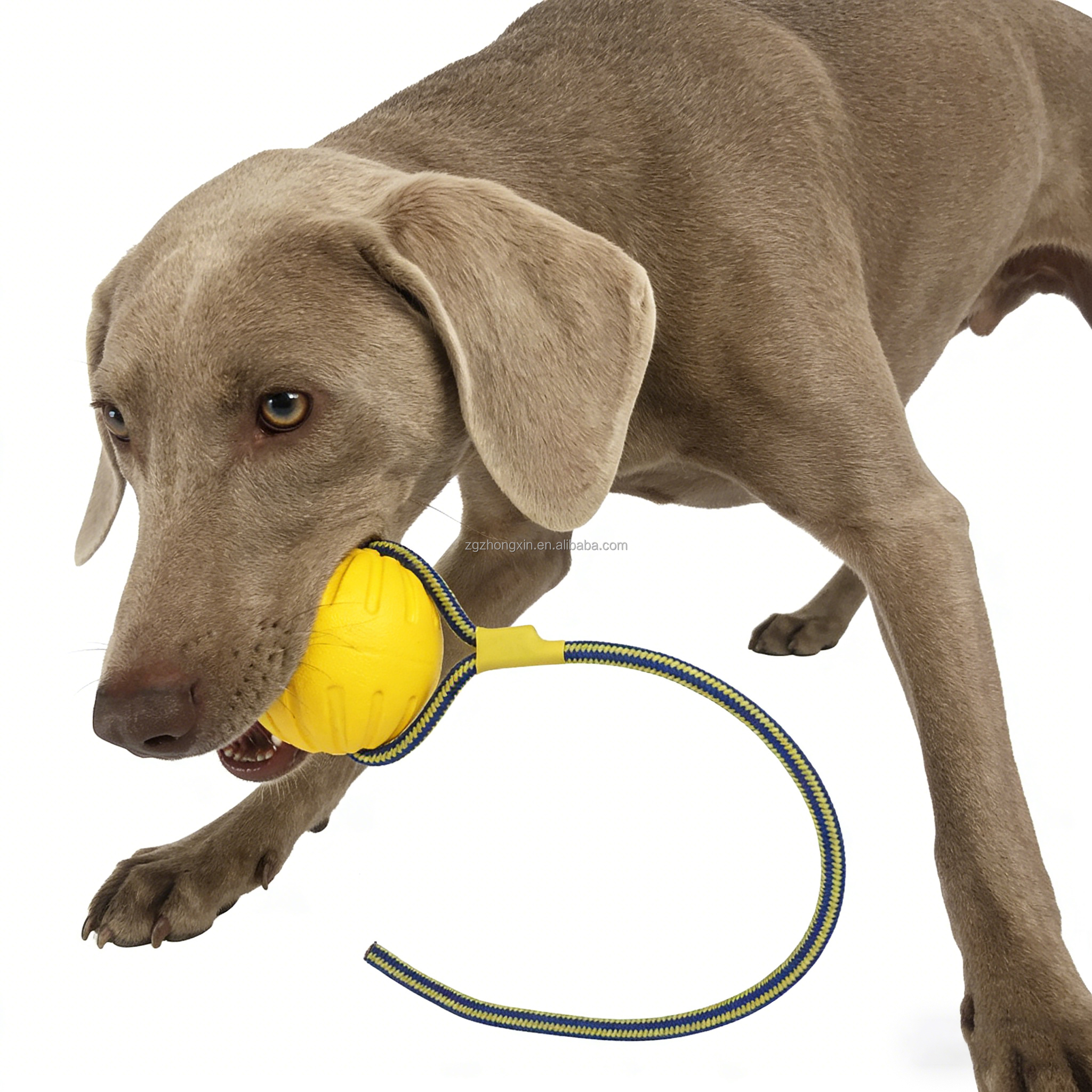 EVA Foam Dog Toy Interactive Chew Ball Indestructible Pet Supplies Training Exercise Toy for Medium Large Dogs