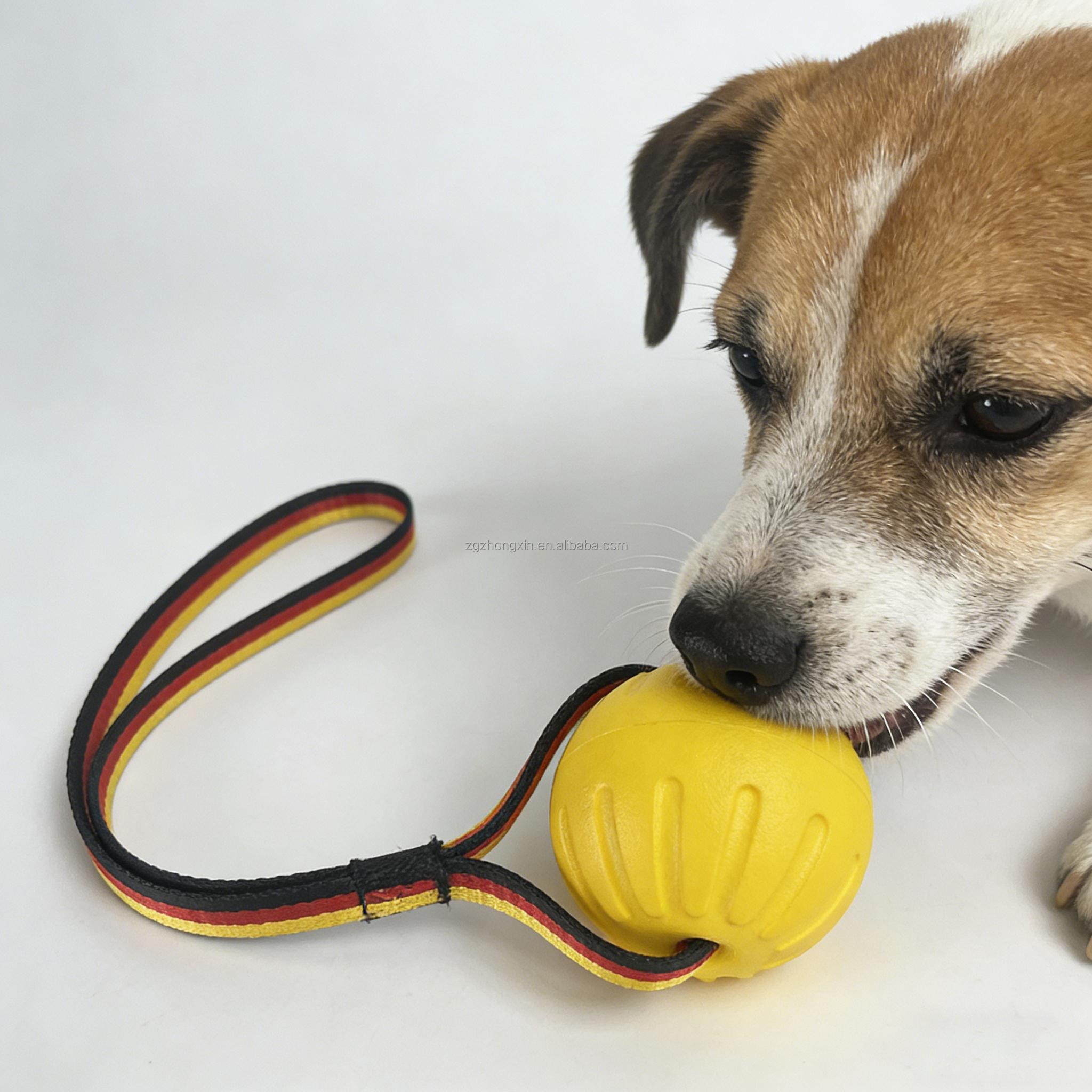 Eco-friendly Luxury Solid Dog Bite Resistant EVA Training Pet Toy Floating Ball Rope with Flag