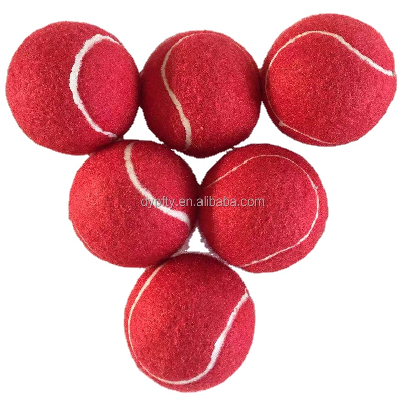 Pet Training Tennis Ball Toy with Squeak Feature for Puppies and Active Dogs