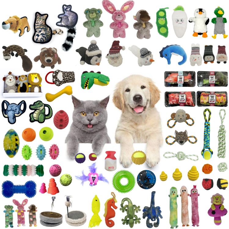 Product Highlights