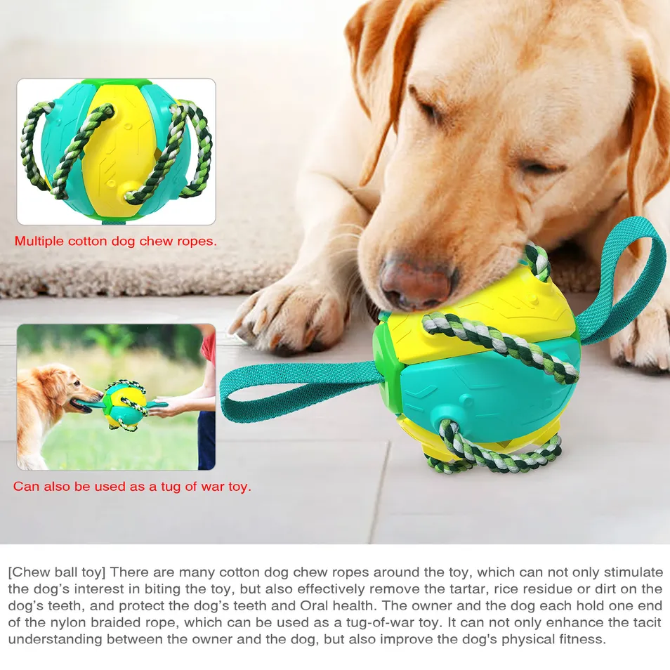 Pet Supplies Outdoor Frisbee Interactive Soccer Training Dog Toys