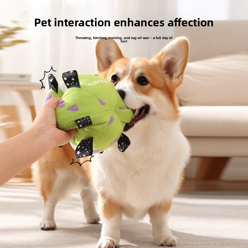 Eco-Friendly New Dog Football Chew Toy Puppy Round Training Ball with Built-in Bell Carton Pet Supplies Wholesale