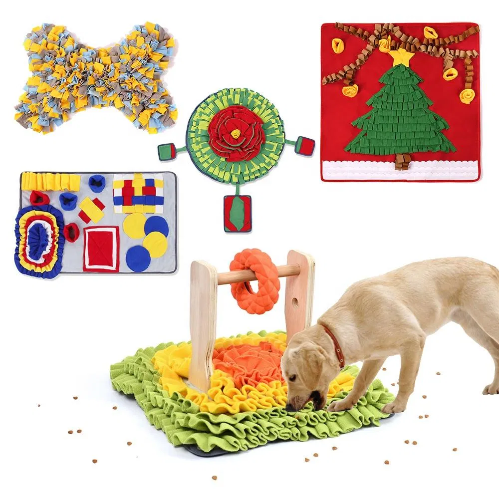 Durable Cotton Rope Dog Toys 10 Pack Gift Set Free Assortment Pet Chew Toy