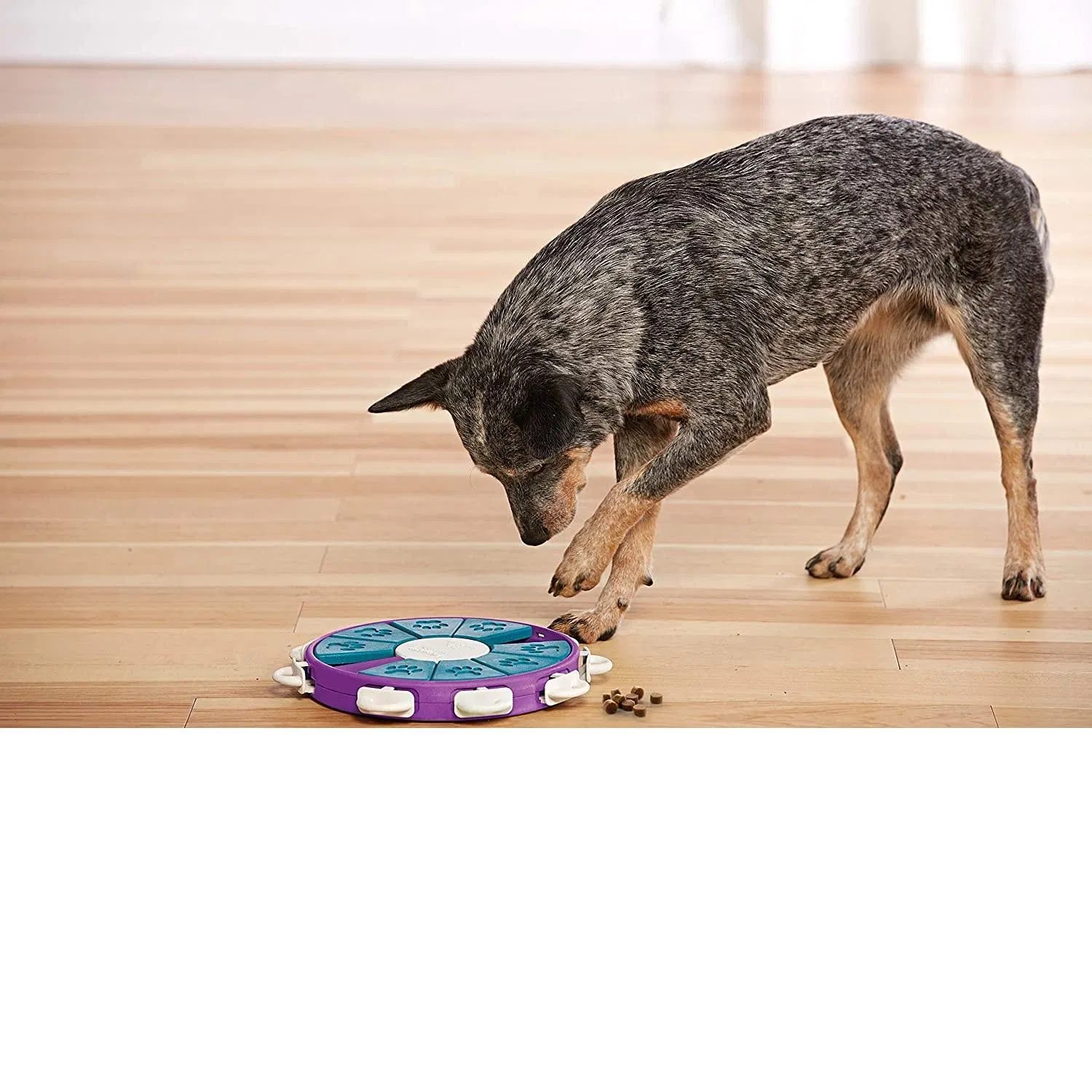 Interactive Puzzle Game Dog Toys
