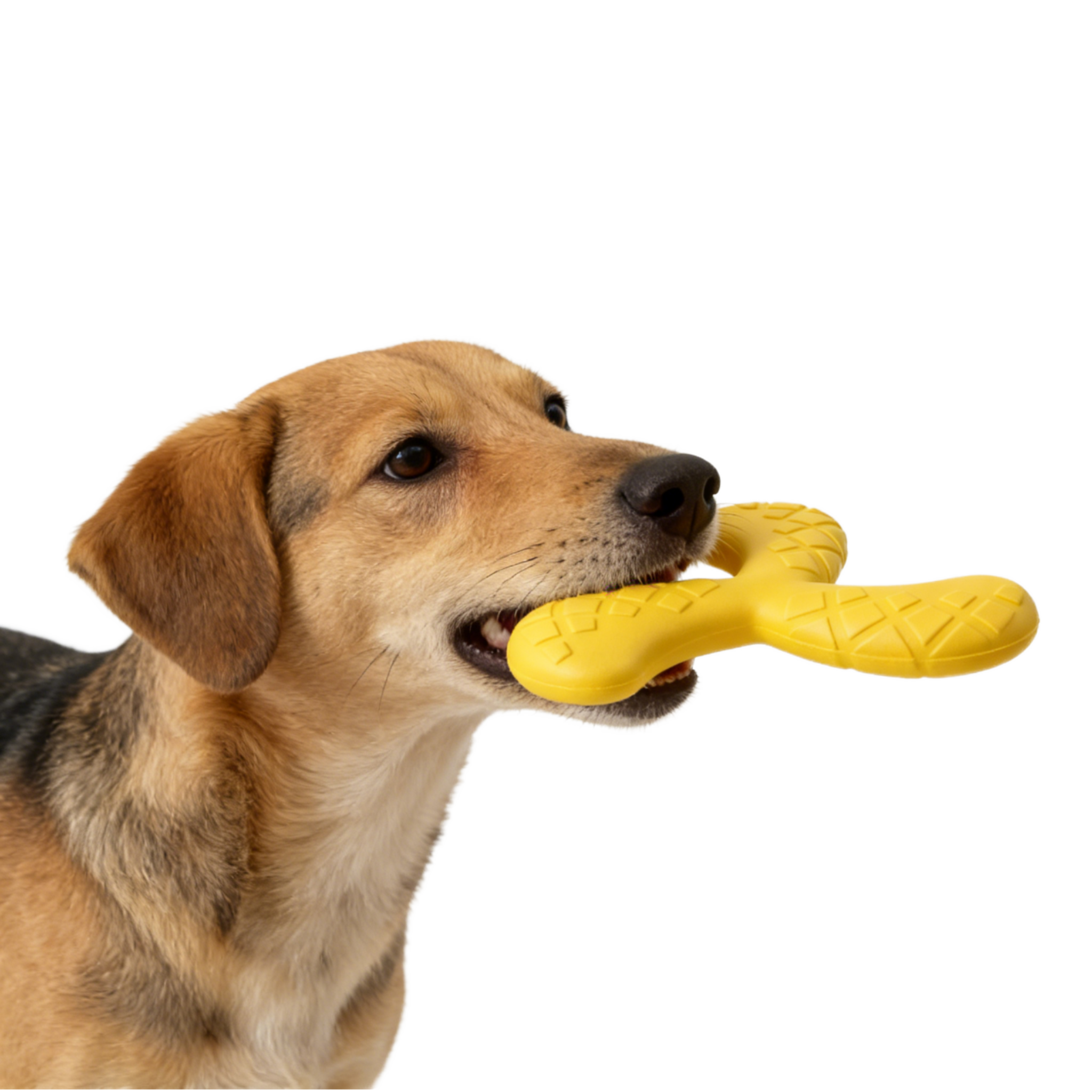 Durable Dog Ball Triangle Dart EVA Floating Bite Resistant Chew Toy for Puppies &amp; Pets Outdoor Use