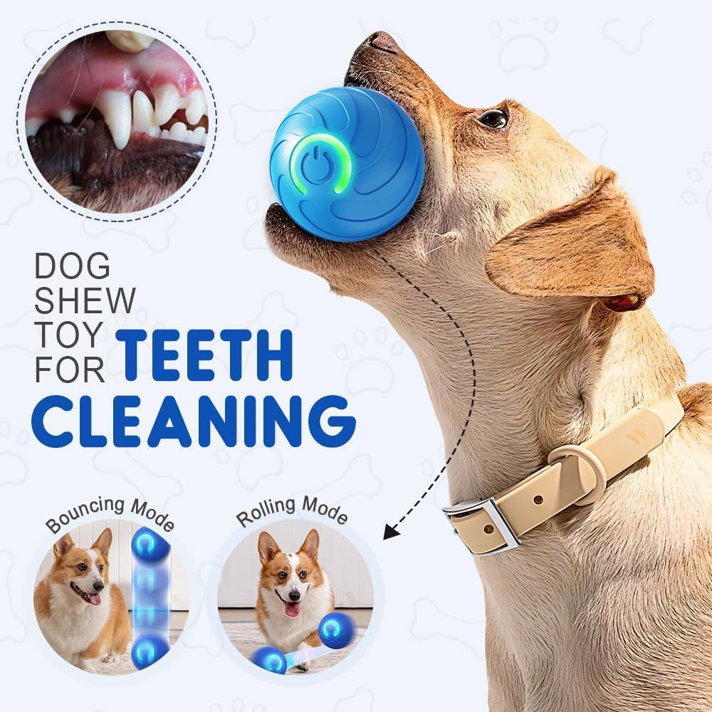 Orange Blue Indoor Rubber Luxury Pet Dog Interactive Movement Chew Ball Toys New Arrivals