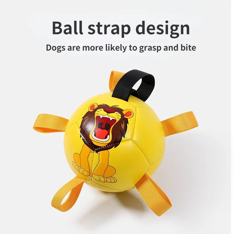 Freezing Pet Toy Outdoor Usage