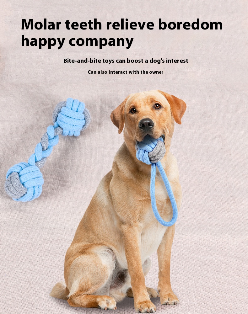 Interactive Cotton Dog Toy Details