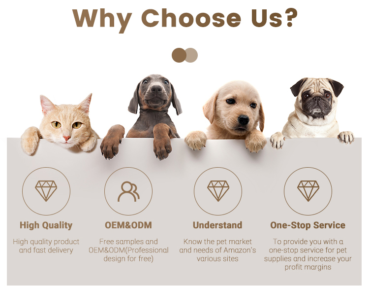 Why Choose Us banner