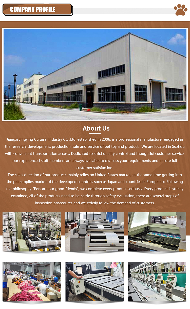 Factory Introduction