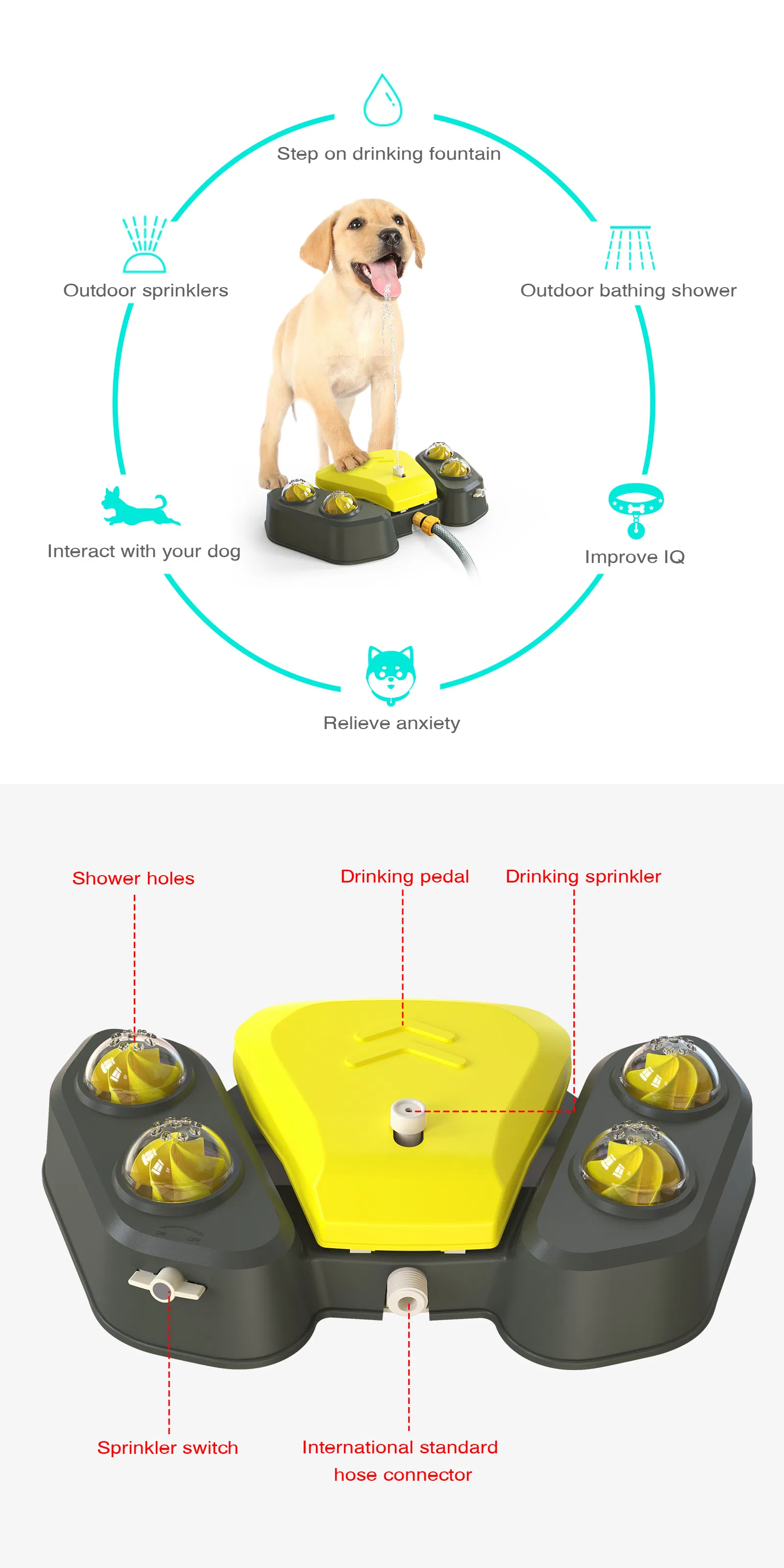 Dog Water Fountain Step on Dog Outdoor Water Toy Dispenser Improve Iq