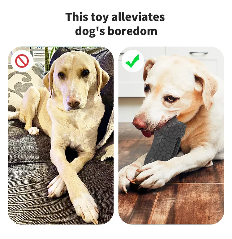 Squeaky Dog Toy for Dental Care and Playtime Adventures