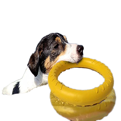 Eco-Friendly Modern Outdoor Training Floating EVA Dog Flying Disc Interactive Pet Toy