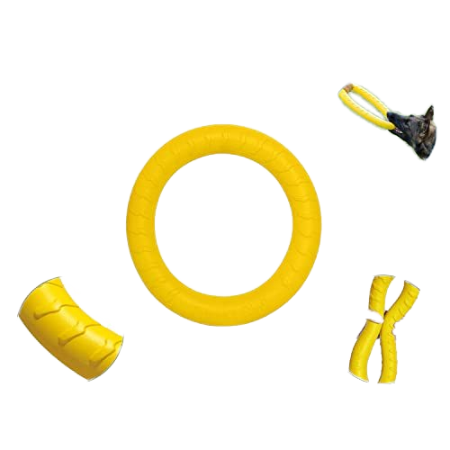 Eco-Friendly Modern Outdoor Training Floating EVA Dog Flying Disc Interactive Pet Toy