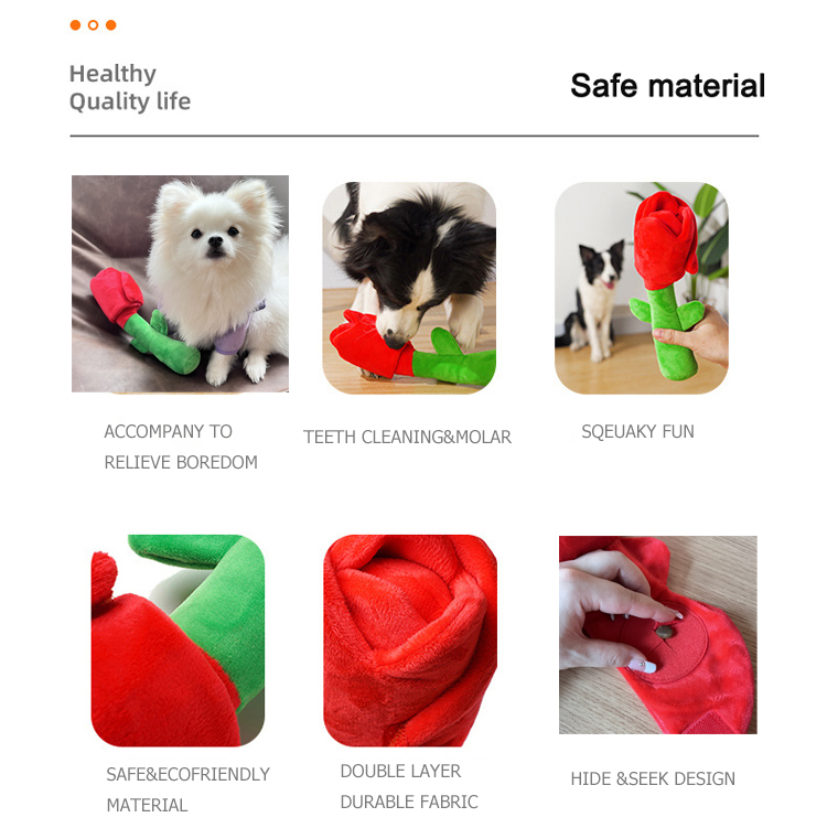 Product Detail 2