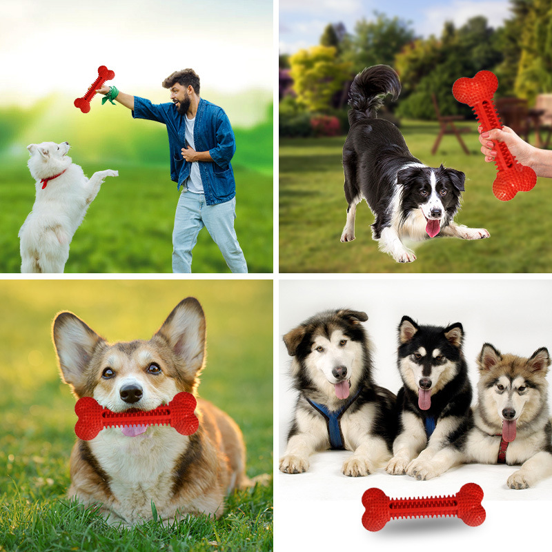 Dog Toy Showcase 4