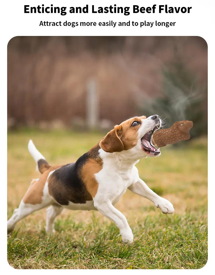 Squeaky Dog Toy for Dental Care and Playtime Adventures
