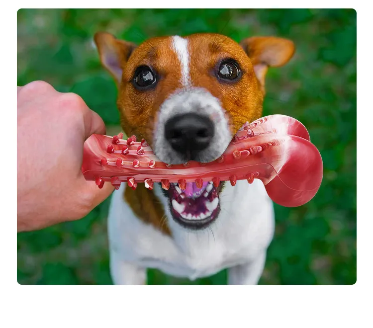 Durable Dog Soft Chew Toy for Indoor and Outdoor Teeth Cleaning