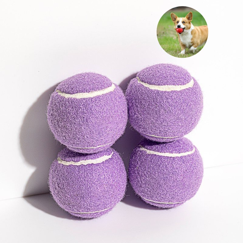 Hot Selling Eco-Friendly Lifelike 12 Colorful Rubber Tennis Ball Chew Toy Training Durable 2.5 Inches Interactive Dog Toy