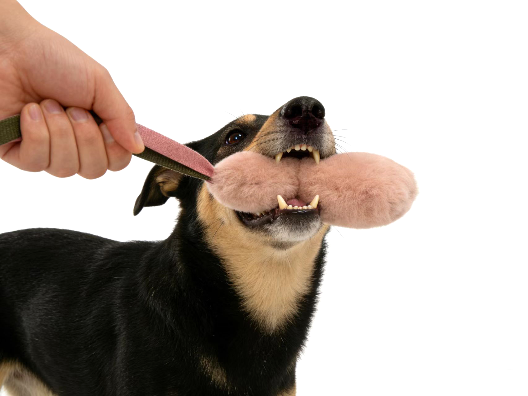 Tug Training Dog Chew Toy Plush Long Bungee Tug Dog Bite Mop Toy With Flexible Handle
